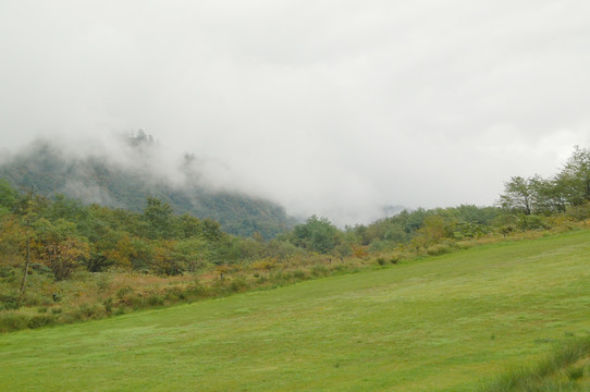 西岭雪山滑草场