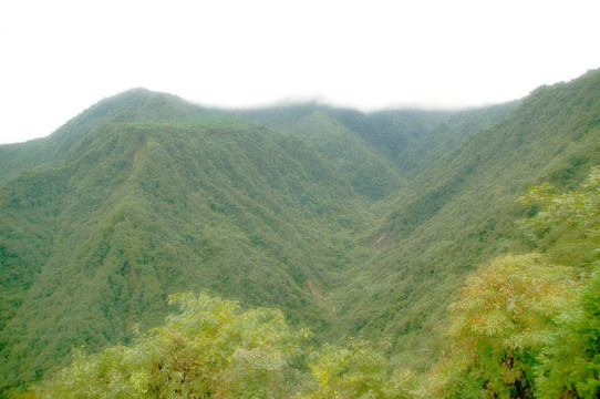 烟雨西岭雪山