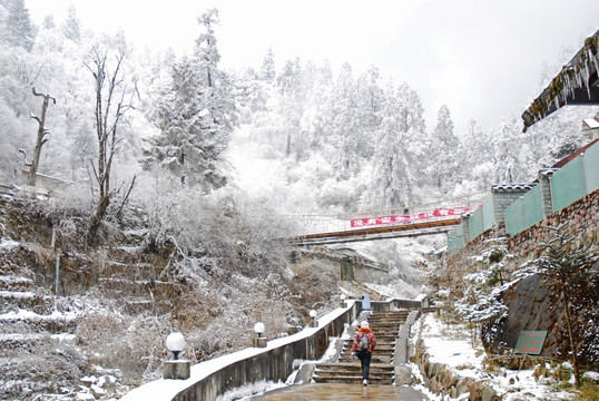 白雪皑皑二号营地温泉区