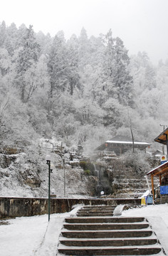 白雪皑皑的二号营地温泉区