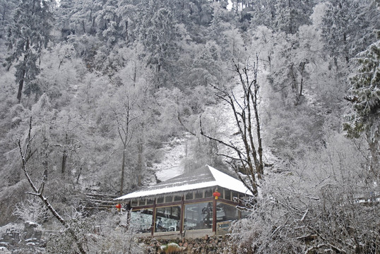 海螺沟二号营地冰川温泉区雪景