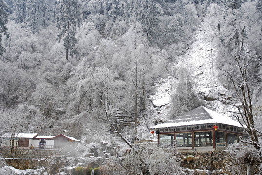 二号营地海螺沟冰川温泉区雪景