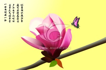 手繪玉蘭花