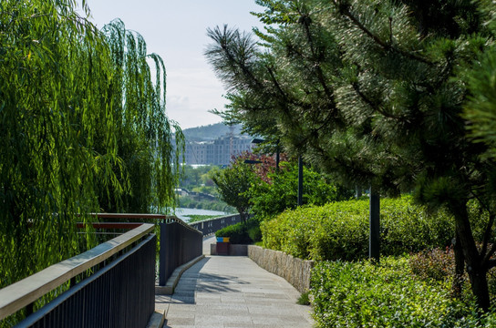 河边风景