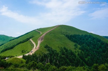 山地森林