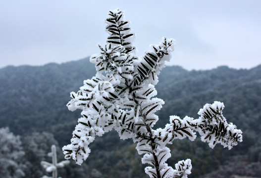 历史名村 翠竹洋 雪景