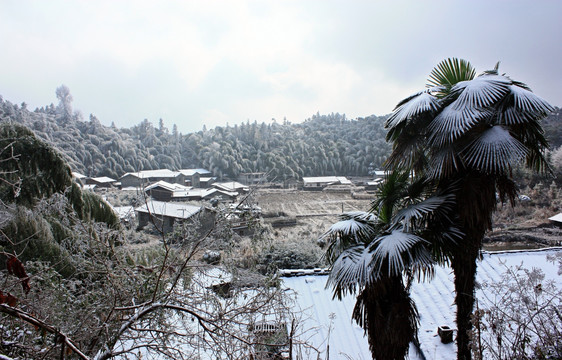 历史名村 翠竹洋 火山口