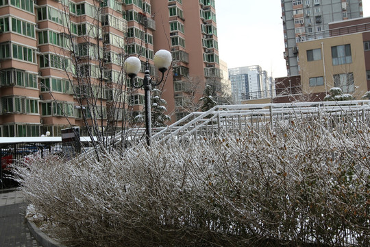 雪后即景