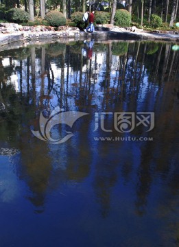上海人民公园水池小景