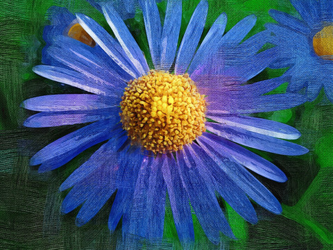 抽象畫 花韻