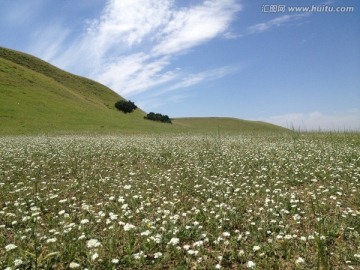 山花烂漫满山坡