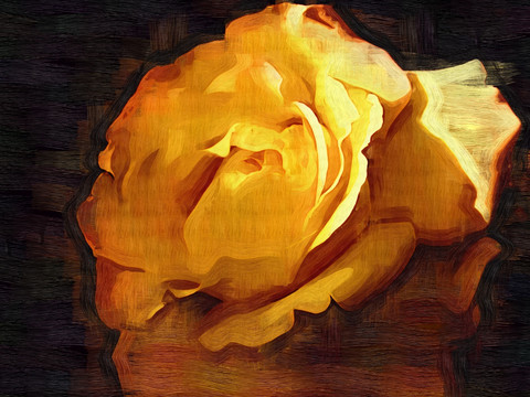 玫瑰花 花卉油畫(huà)