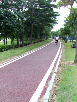绿色自行车道