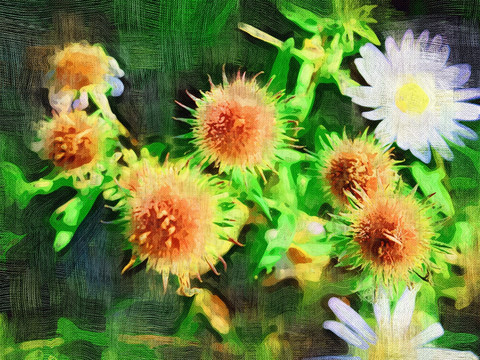 電腦油畫 花之韻