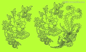花卉 鳳凰