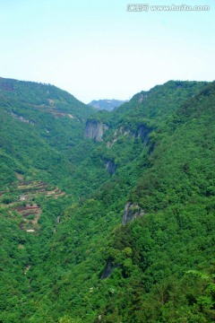 妙高台山林