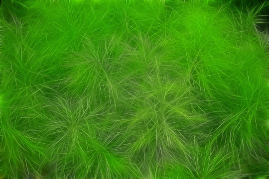 電腦畫 植物紋理
