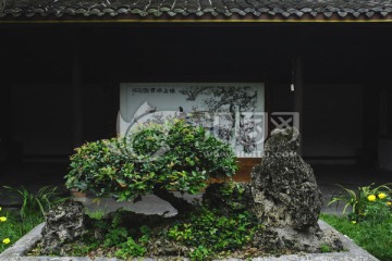 川西民居雕刻博物馆庭院花台