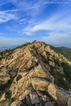 山顶风光