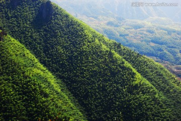 南尖岩竹海