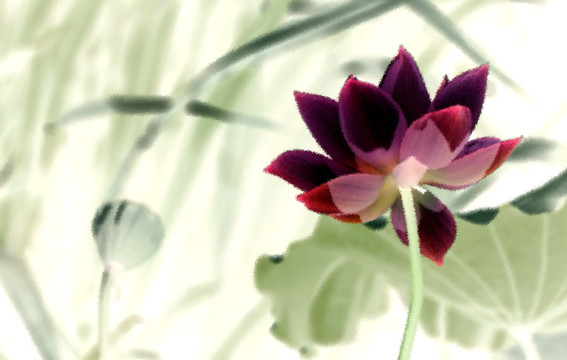 荷花 裝飾畫(huà)（分層）