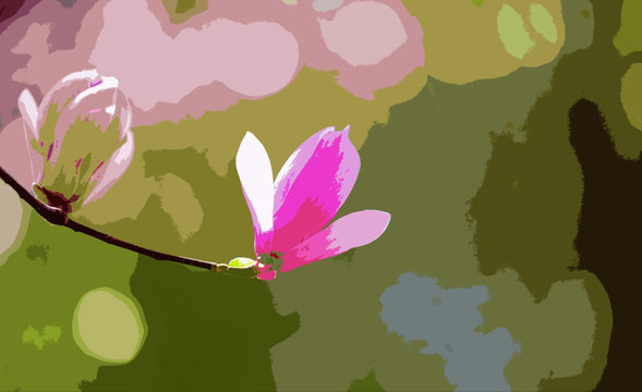 玉蘭 裝飾畫(huà)（不分層）