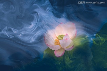創(chuàng)意荷花
