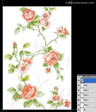 花卉 手绘花卉 玫瑰（通道分色）