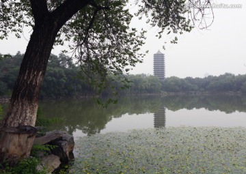 北京大学末名湖