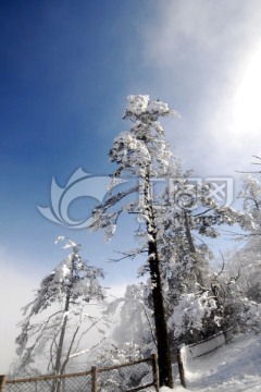 峨眉山接引殿景区雪景