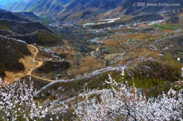 京郊山村的初春