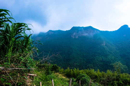 山峰