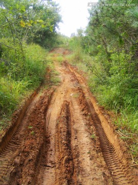 山路