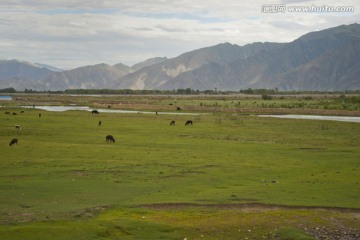 西藏唐古拉山湿地
