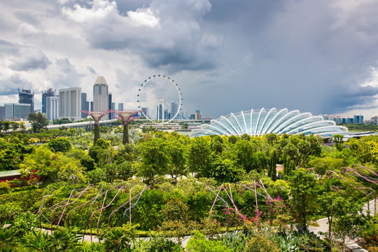 新加坡滨海湾花园