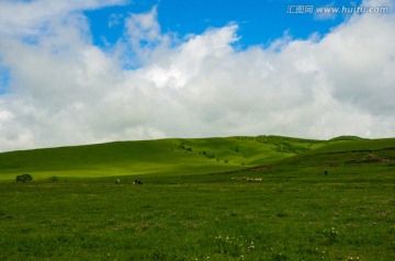 草原风光