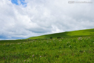 草原风光