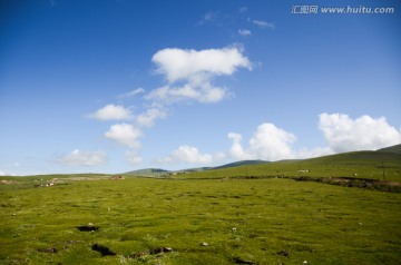 青海 牧场草原