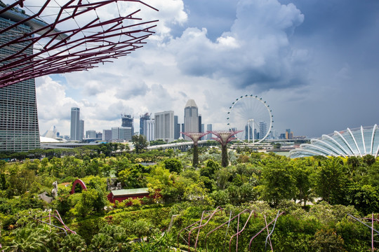 新加坡 滨海湾花园