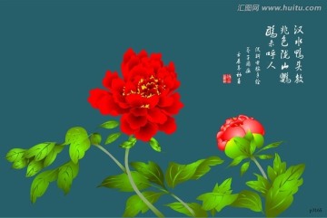 牡丹