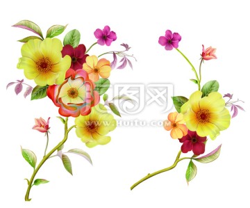 黃花朵花