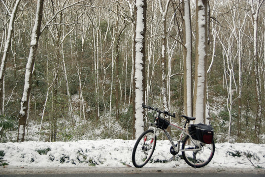 雪天骑行