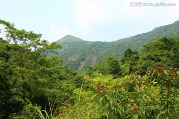 高山