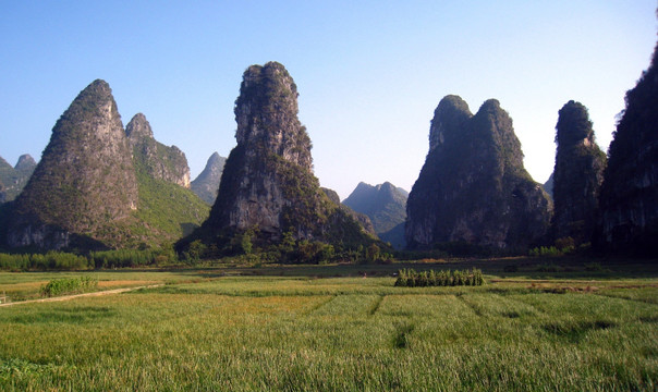 夏日群峰