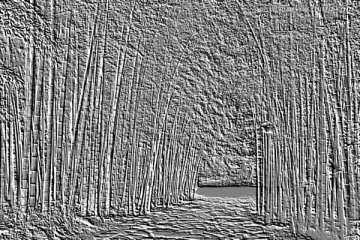 竹林浮雕画 竹子灰度图