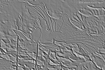 荷花浮雕 灰度图
