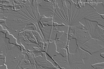 荷花浮雕图 灰度画
