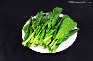 油菜