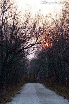 林间小路