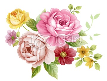 玫瑰朵花